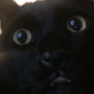 Meet your Posher, Elida